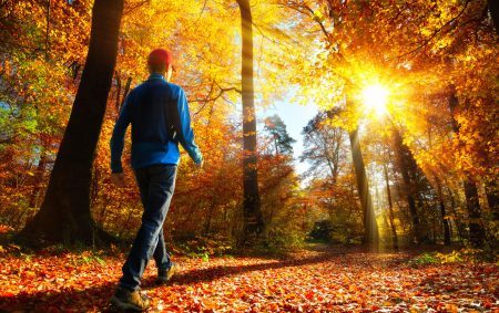 Die Naturheilpraxis Huxol empfiehlt eine Herbstkur