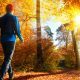 Die Naturheilpraxis Huxol empfiehlt eine Herbstkur